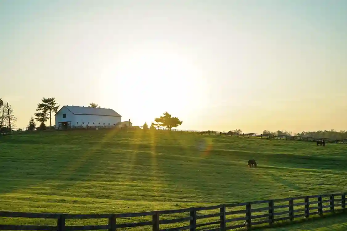 Bauernhof umgeben von Feldern in Abendsonne